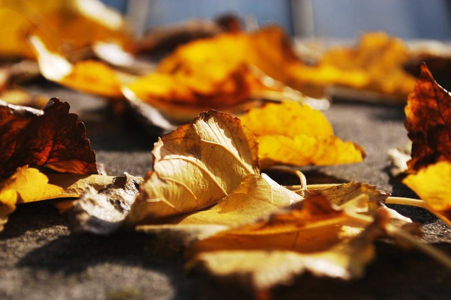 Childhood love — that matures with time and then returns