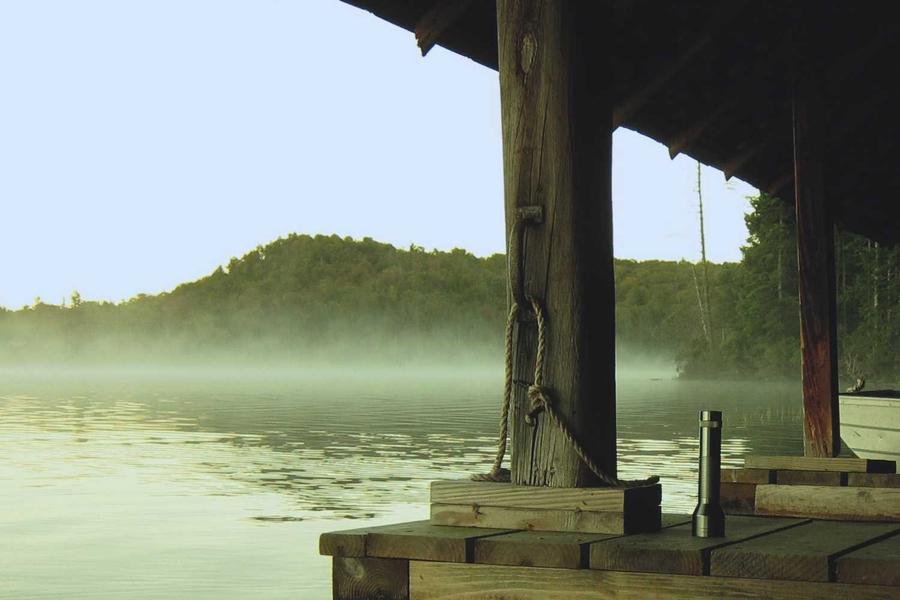 A morning in Kumarakom — where birdsong makes you forget everything