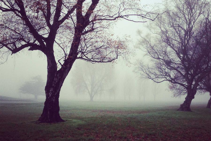 The mother who works and runs a home — saluting her strength